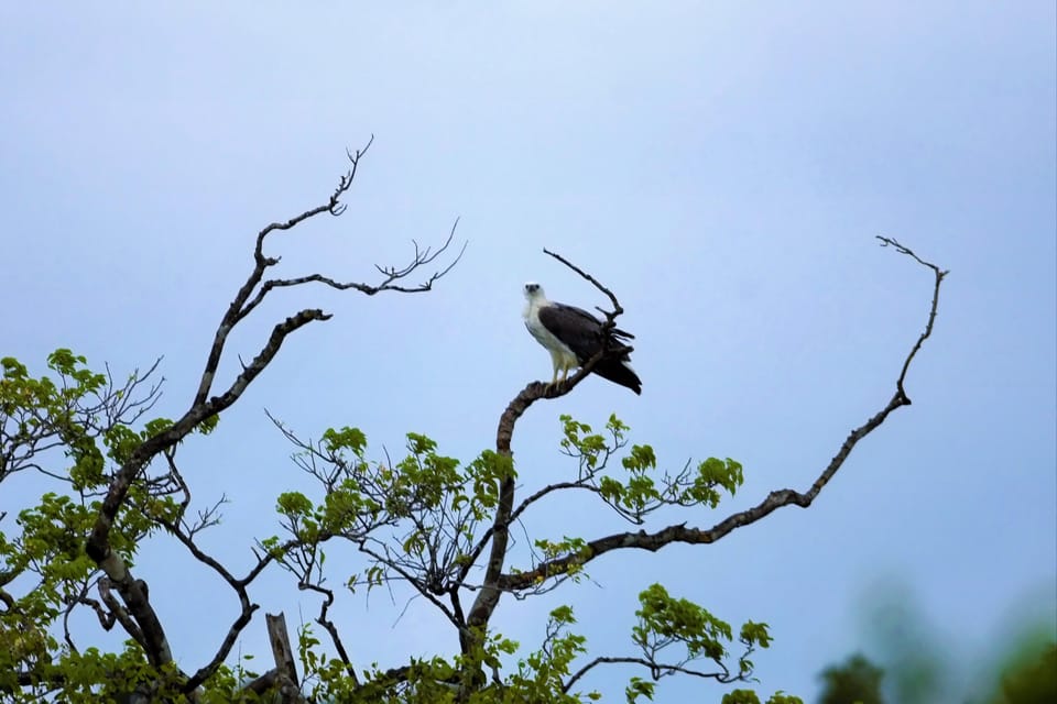 Arugambay :Pottuvil Lagoon Boat Safari Eco Tours - Customer Ratings and Feedback