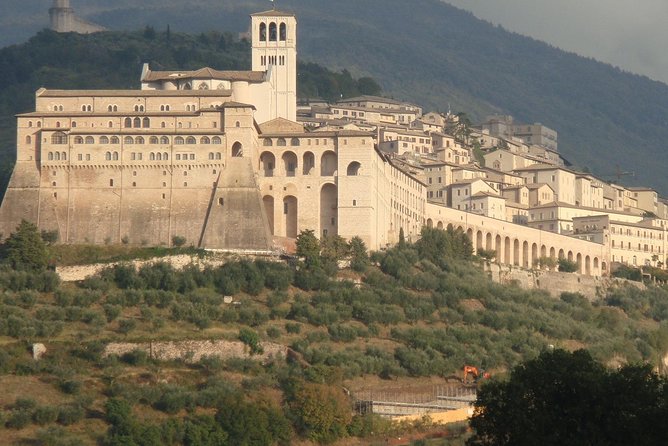 Assisi, City Highlights and Basilica of St. Francis Tour - Traveler Experiences and Reviews