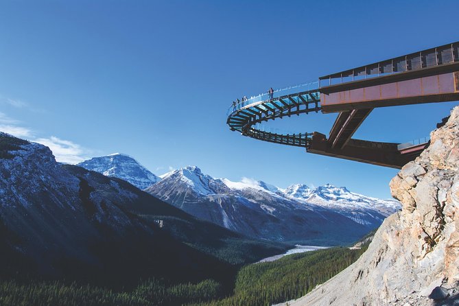 Athabasca Glacier Snow Trip From Banff - Customer Experiences
