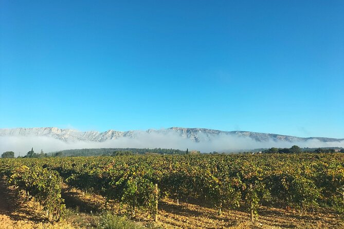 Authentic Countryside Tour Review: A Perfect Day - Lunch and Local Cuisine