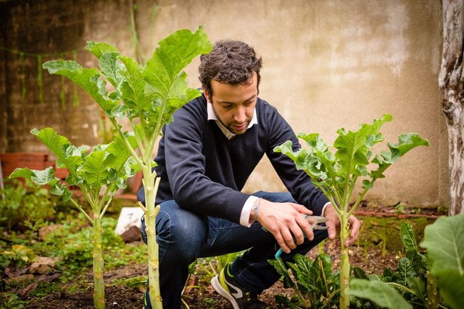 Authentic Portuguese Cooking Class and Dinner in a Lisbon Home - Cancellation Policy