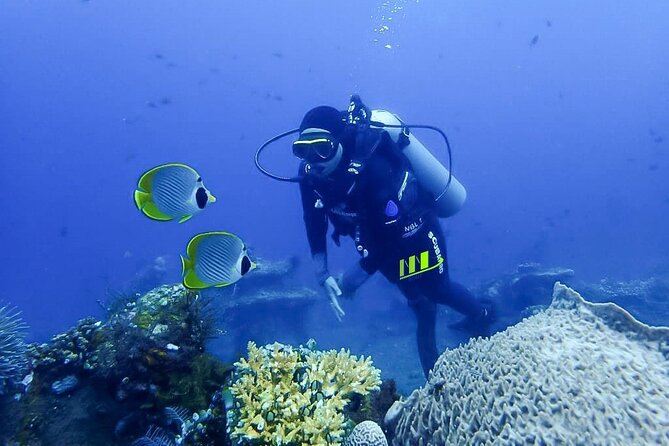 Bali Full Day Experience Scuba Diving Tour at Tulamben - Tips for First-Time Divers