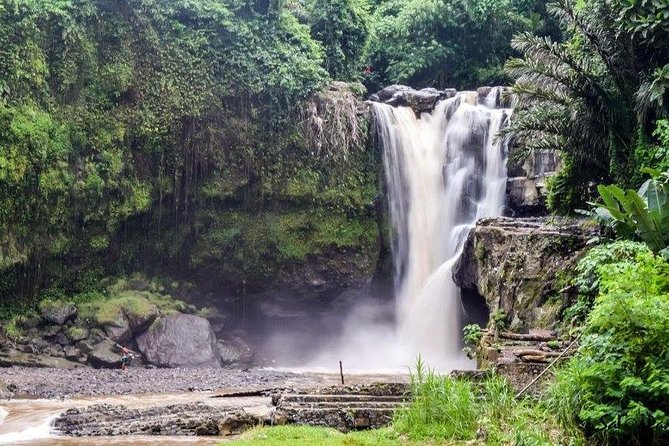 Bali Highlight Tours - Pricing and Cancellation Policy