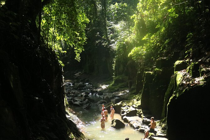 Bali Private Full Day Tour to Visit the Best Waterfalls and Swing Near Ubud - The Iconic Swing Experience