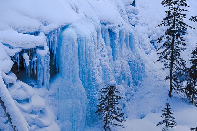 Banff, Lake Louise & Johnston Canyon | Winter Wonderland Tour - Cancellation Policy