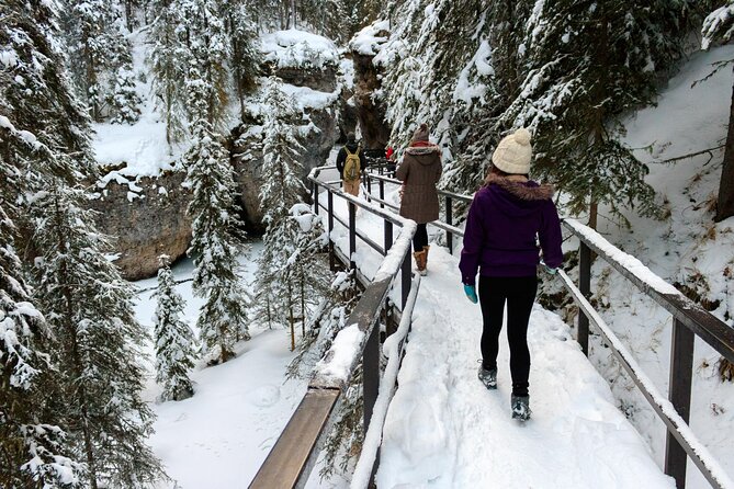 Banff National Park & Lake Louise FULL DAY PRIVATE TOUR - Discover the Wonders of Lake Louise