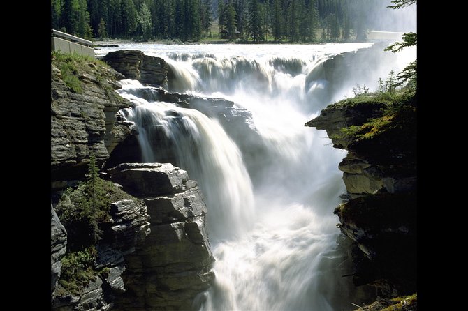Banff to Jasper One-Way Tour - Included Amenities and Services