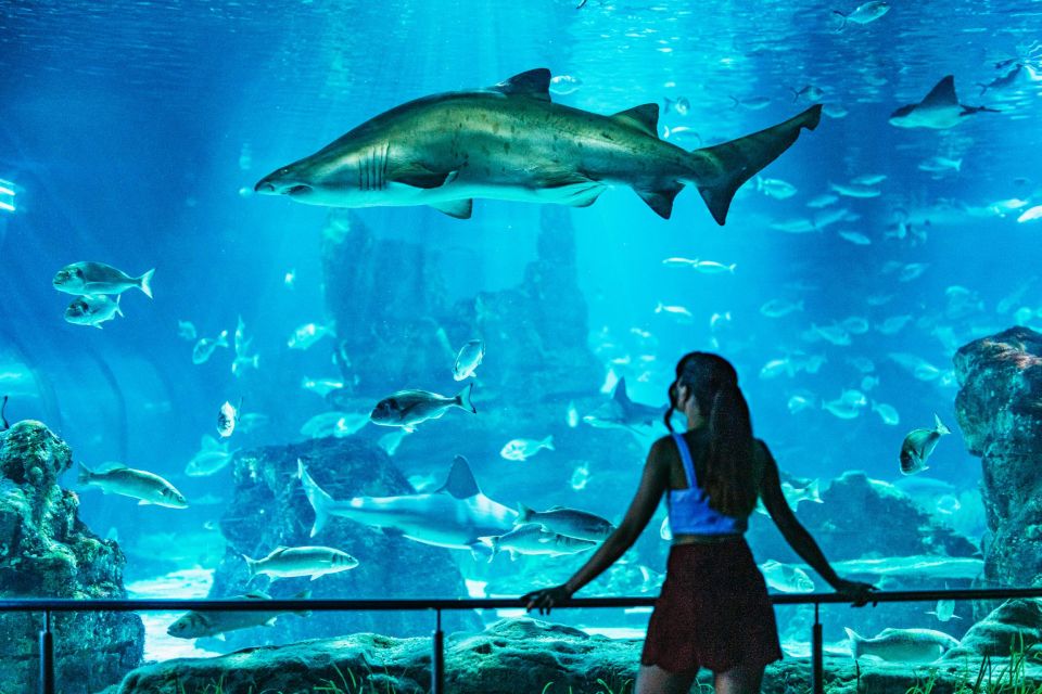 Barcelona Aquarium: Skip-the-Line Admission Ticket - Seasonal Operating Hours