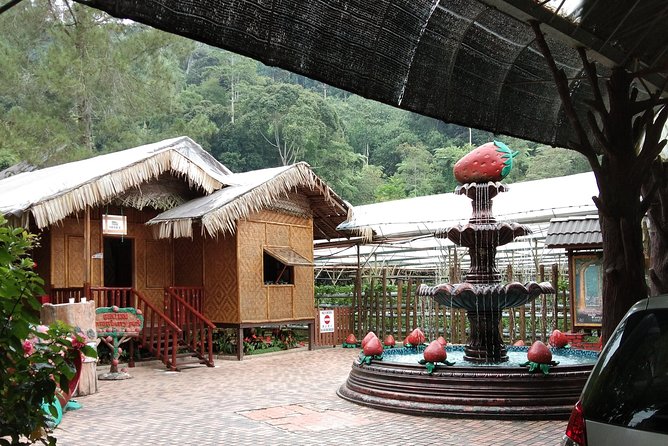 Batu Caves and Genting Highland Tour - Customer Reviews