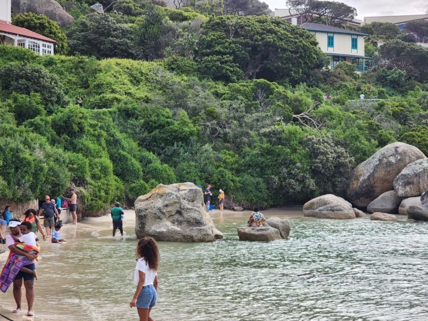 Beach Day at Boulders Beach & Penguin Watching, Half Day - Boulders Beach Penguin Colony