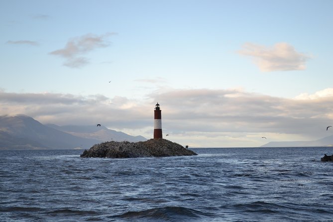 Beagle Channel and Seal Island Catamaran Tour From Ushuaia - Traveler Feedback and Recommendations