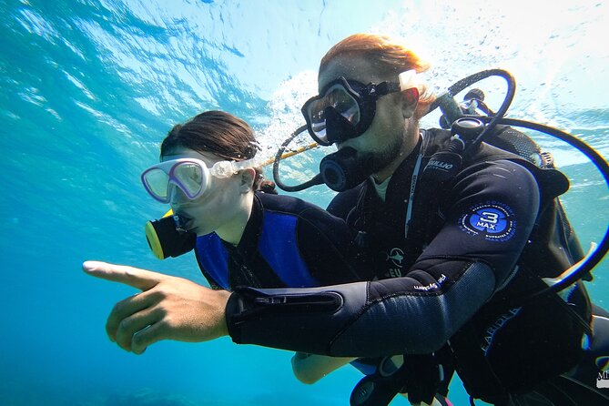 Beginner Diving Experience in Ligaria Bay - Accessibility and Restrictions