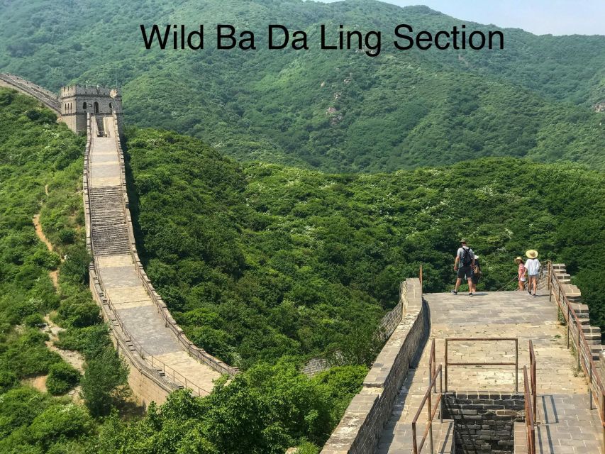 Beijing Private Great Wall Day Tour - Customer Reviews