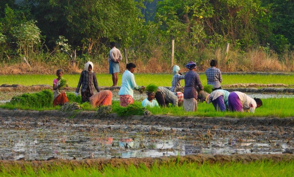 Bentota Guided Cycling Tour and Village Tour - Group Size and Booking