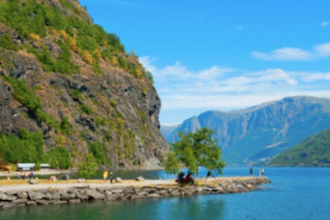 Bergen to Flam "The King of Fjords" One-Way or Round-Trip Cruise Ticket - Tour Feedback and Customer Support