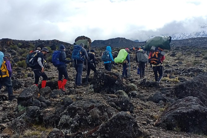 Best Kilimanjaro Adventures 6 Days Marangu Route Experience - Important Participant Guidelines