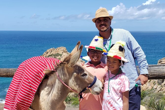 BEST SELLER TANGIER PRIVATE TOUR: Highlights, Camels & Old Town - Special Offers Available