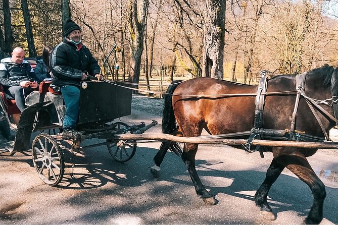 Bijambare Cave and Spring of River Bosna Tour - Review Highlights