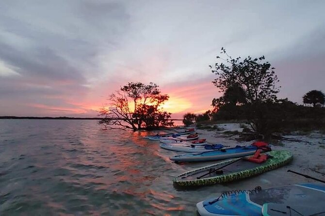Bioluminescence Clear Kayak or Paddleboard Tour Near Orlando - Choosing the Right Tour