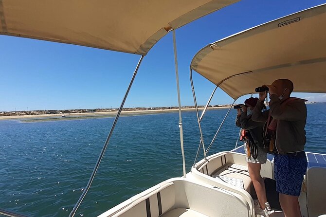 Birdwatching in Ria Formosa - Eco Boat Tour From Faro - Additional Information