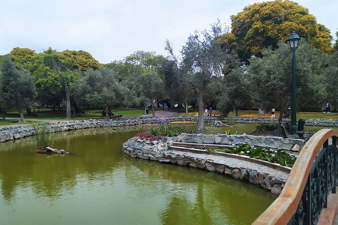 Birdwatching & Landscaping Tour in Lima - Professional Guide Expertise