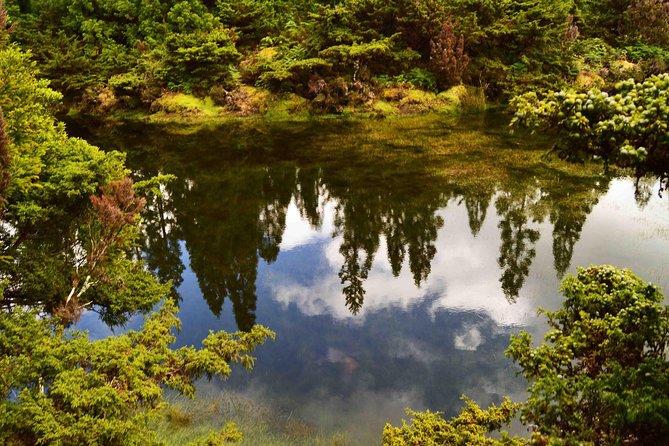 Black Mysteries Hiking Trail - Terceira Azores - Tips for Hiking the Trail