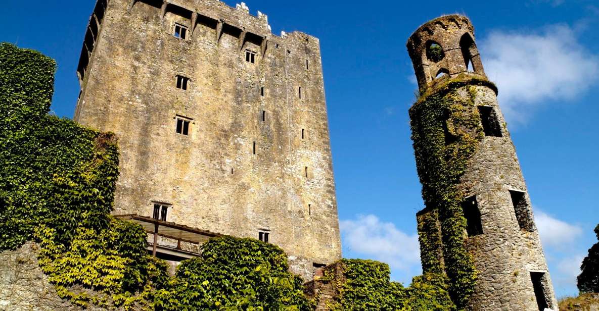 Blarney Castle Full-Day Tour From Dublin - Customer Ratings and Reviews