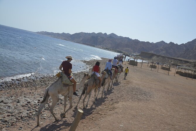 Blue Hole and Dahab City From Sharm El Sheikh - Discovering Dahab City