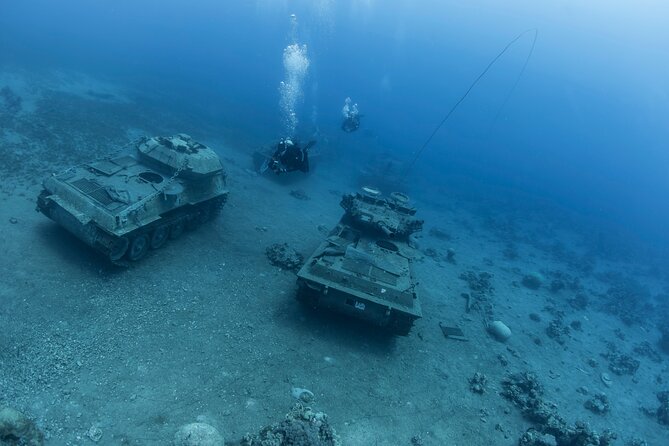 Boat Dive and Snorkeling Experience in Aqaba - About the Operator