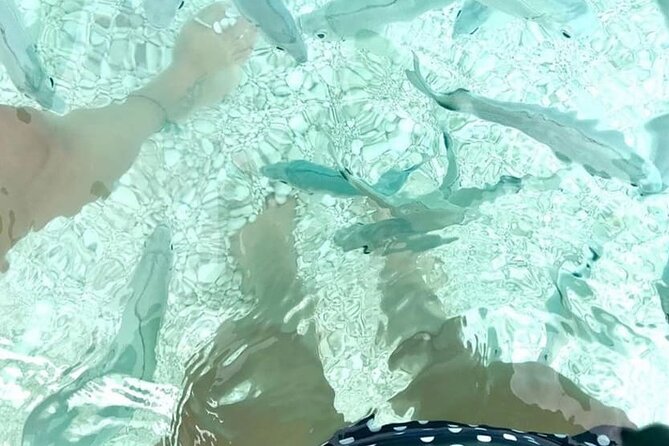 Boat Trip: Fico Cave, Cala Mariolu, Gabbiani & Biriala - Scenic Views
