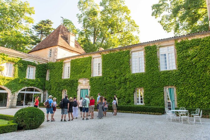 Bordeaux Vineyards Wine Tasting Half-Day Trip - Visitor Feedback and Insights