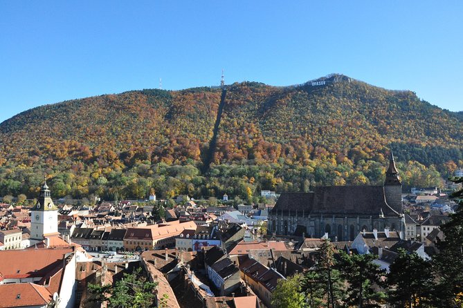 Brasov Old Town Small-Group Walking Tour - Traveler Feedback and Ratings