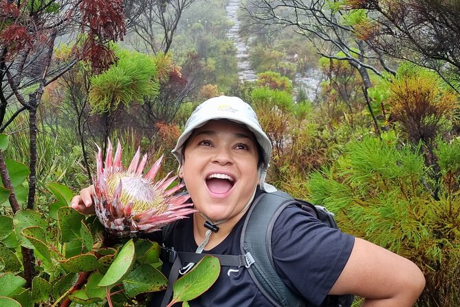 Breathtaking Table Mountain Guided Hike - Off the Beaten Track! - Health and Safety Considerations