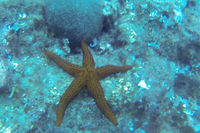 Bubble Maker (Scuba Diving for Children) - Cancellation Policy