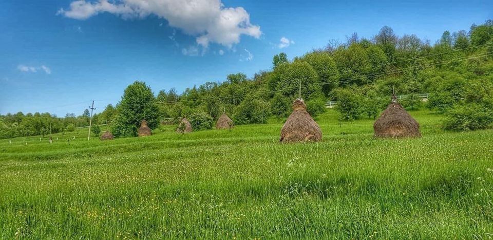 Bucharest: The Biggest Salt Mine in Europe & Wine Tasting - Booking Information