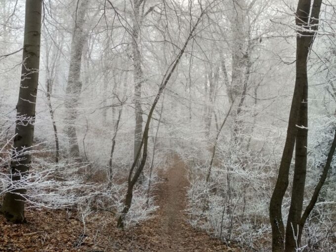 Budapest: Buda Hills Guided Hiking Tour With Optional Lunch - Practical Information