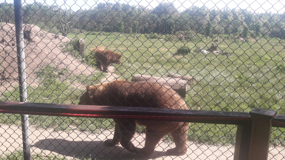 Budapest: Transport & Guided Tour of Bear and Wolf Sanctuary - Inclusions for Participants