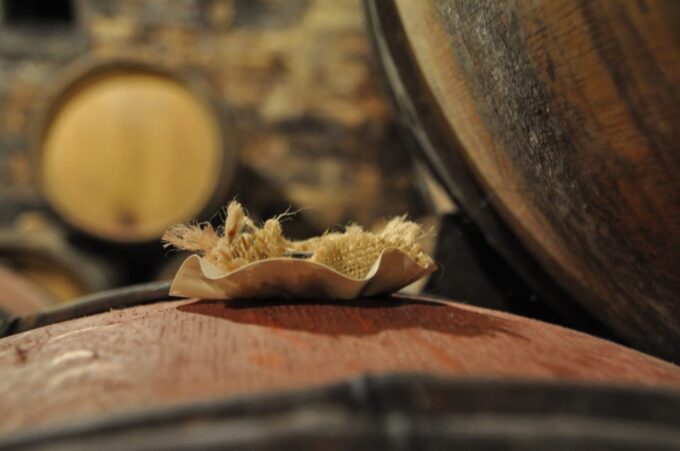 Burgundy Wines Full-Day Tasting Tour From Dijon - Family-Run Vineyard and Winemaking