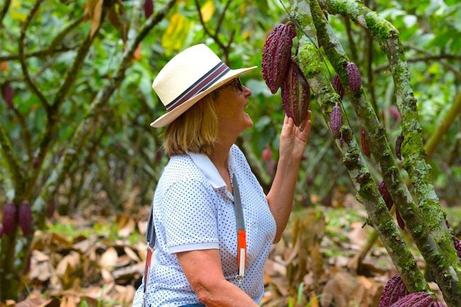 Cacao Farm and Hands-On Chocolate Making With 3-Course Meal in Guayaquil - Transport and Accessibility