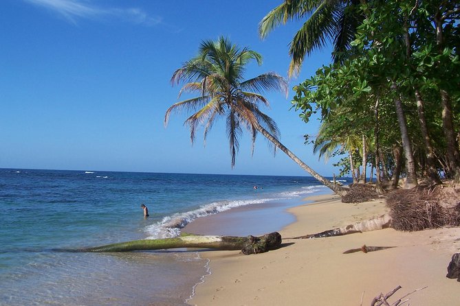 Cahuita National Park & Banana Plantation Tour Shore Excursion From Puerto Limon - Tour Duration and Accessibility