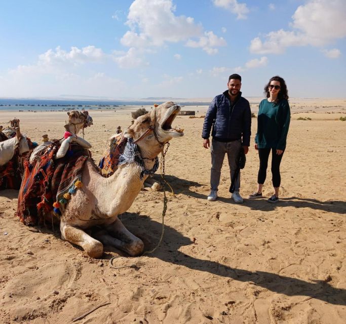 Cairo: Wadi El Ryan, El Fayoum Oasis & Bird Watching Tour - Inclusions and Exclusions