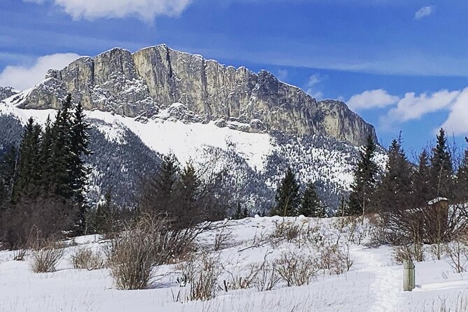 Canmore: Wilderness & Wildlife Walking Tour - 2hrs - Wildlife Encounters