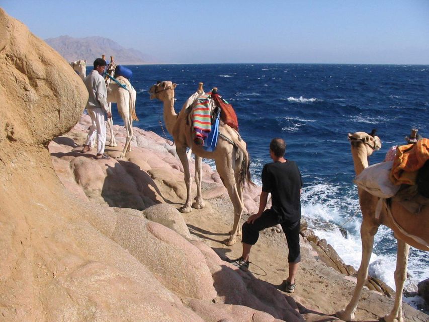 Canyon Salama Jeep Safari in Sinai Desert & Dahab Snorkeling - What to Bring