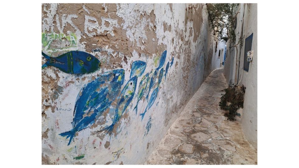 Cap Bon Unveiled: Guided Exploration in Tunisia - Exploring Hammamets Medina