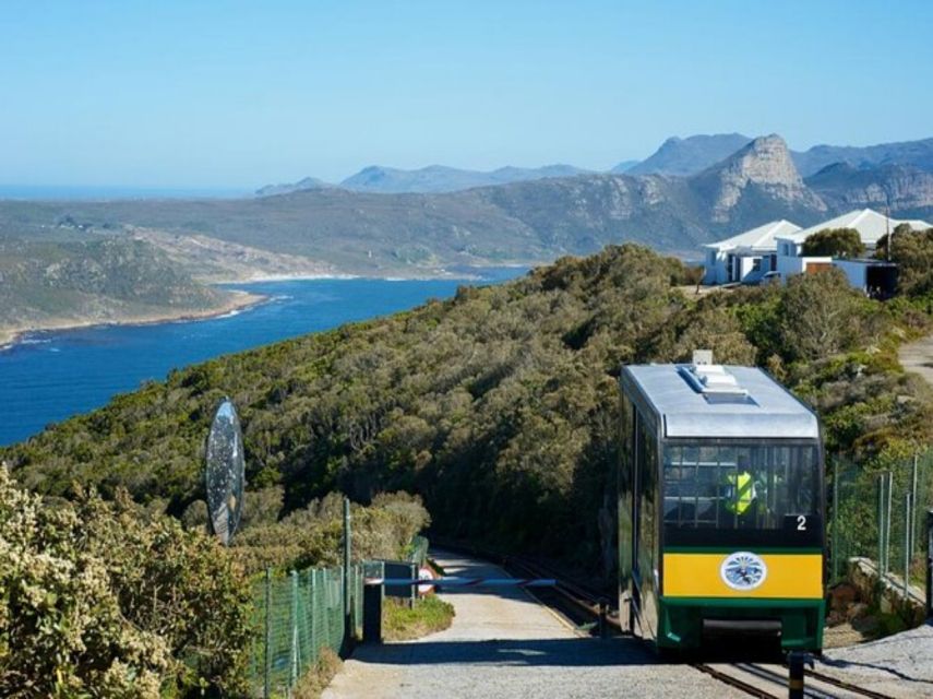 Cape Point, Penguins, Table Mountain Full Day Private Tour - Pickup and Accessibility