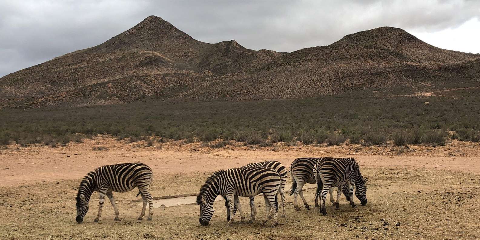 Cape Town: Aquila Reserve Safari With Lunch and Winery Visit - Booking and Cancellation