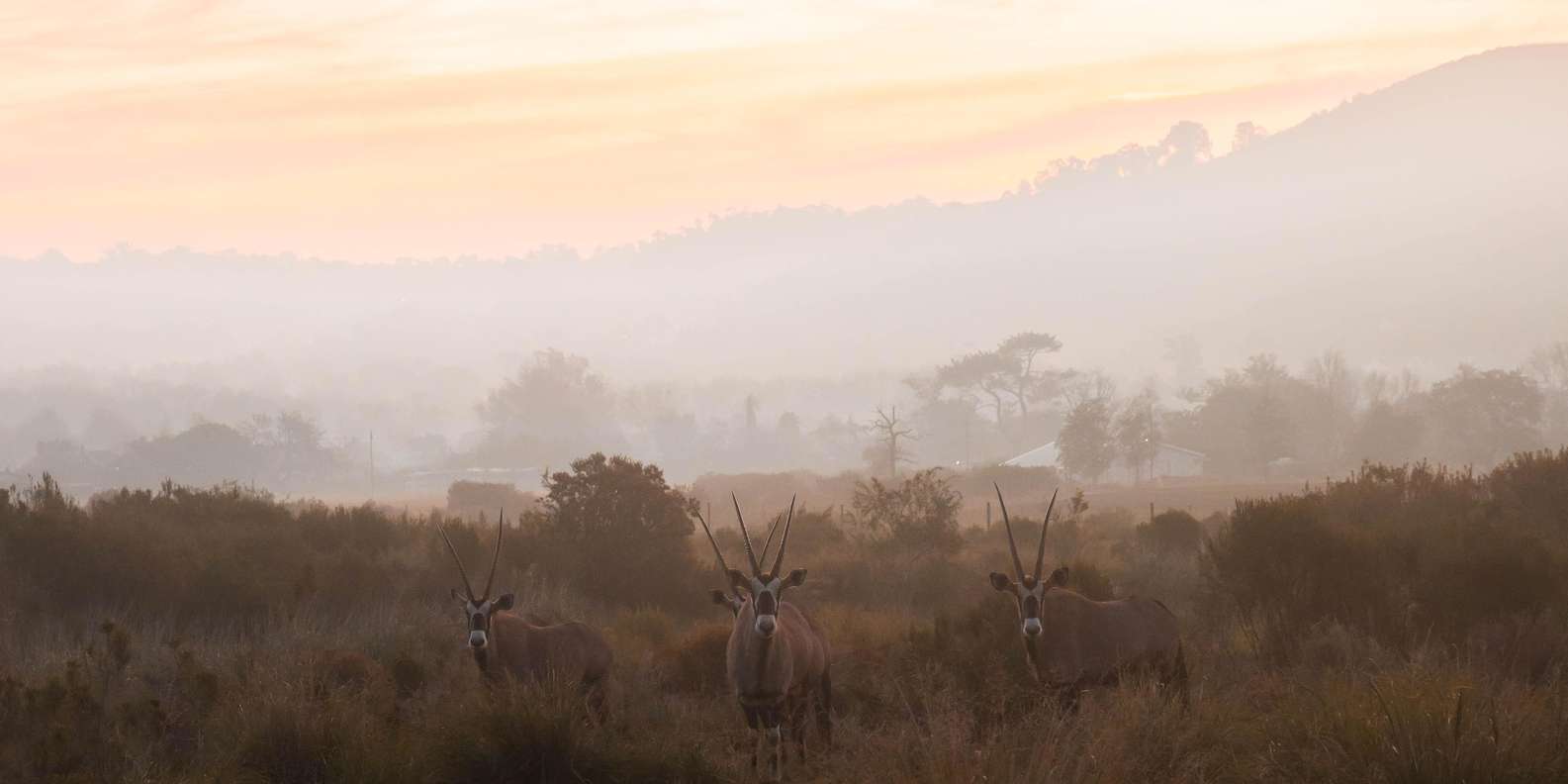 Cape Town: Cape Winelands Guided Hiking Tours - Booking and Cancellation Policy