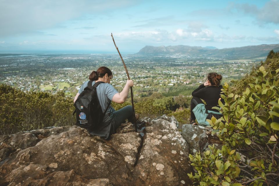 Cape Town: Forest Bathing and Silent Walking Meditation - Frequently Asked Questions