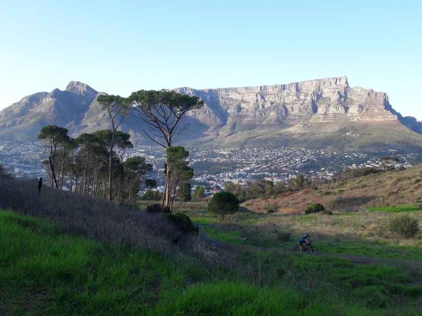 Cape Town: Mountain Biking Table Mountain to Constantia - Safety Considerations