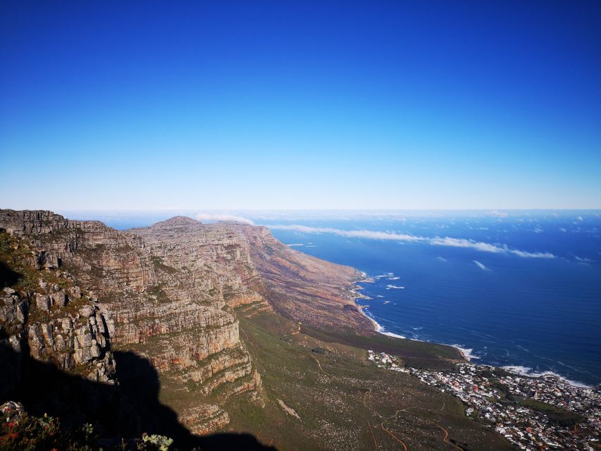 Cape Town: Table Mountain Half–Day India Venster Hike - Glowing Customer Feedback